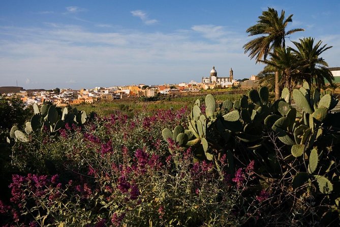 Full-Day Gran Canaria Island Tour - Cumbres - Safety and Accessibility