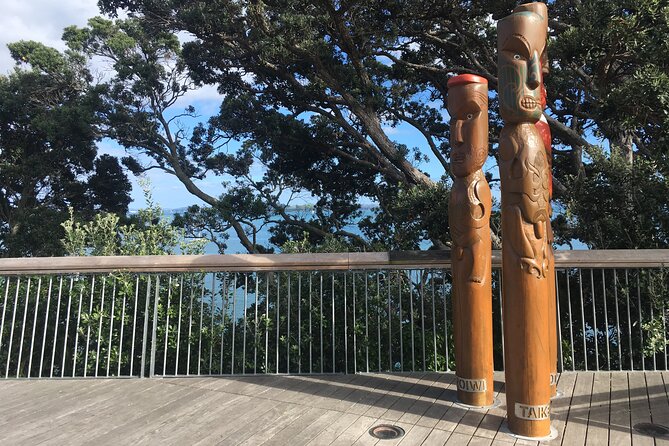 Full-Day Grand Auckland Volcanoes Tour - Traveler Feedback and Insights