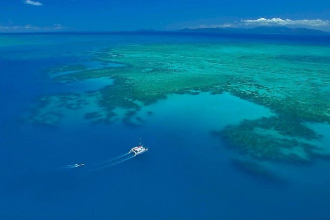 Full-Day Great Barrier Reef Sailing Trip From Cairns - Reviews and Traveler Feedback