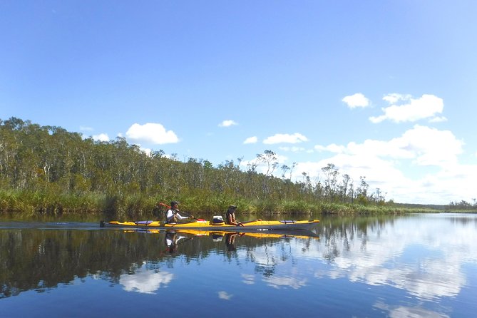 Full-Day Guided Noosa Everglades Kayak Tour - What to Bring