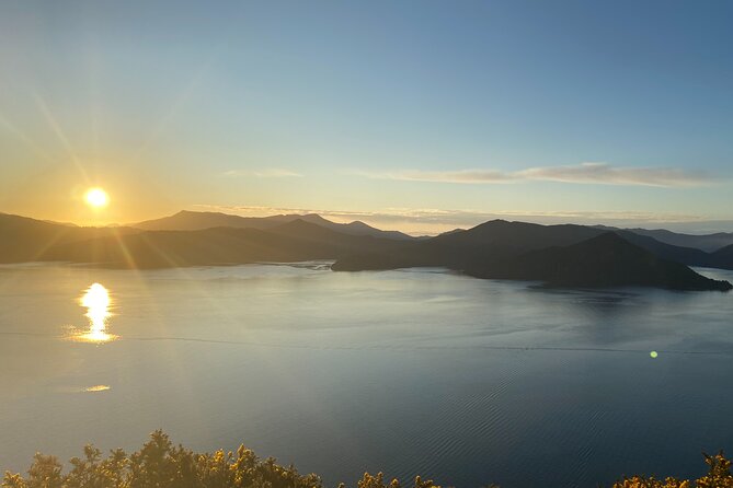 Full-Day Guided Sea Kayak Trip From Picton - Booking Information