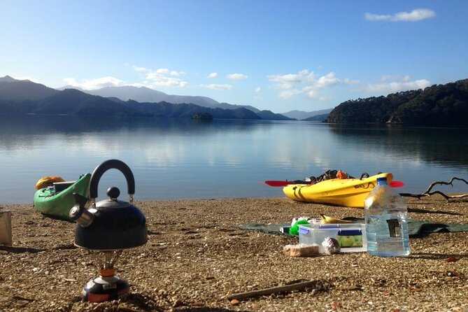 Full-Day Guided Sea Kayaking Trip From Anakiwa - Booking Information