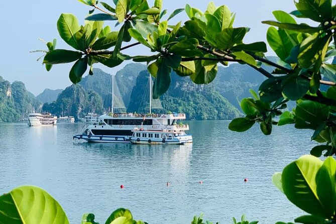 Full-Day Halong Bay Islands and Cave Tour Transfer 2 Ways by Newest Expressway - Tips for a Great Experience