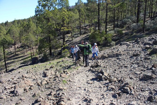 Full Day Hiking Gran Canaria Peaks of Gran Canaria - Fitness Requirements