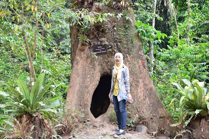 Full-Day Jungle Tour Including Tiger Cave Temple, Crystal Pool and Krabi Hot Springs - Logistics and Meeting Points