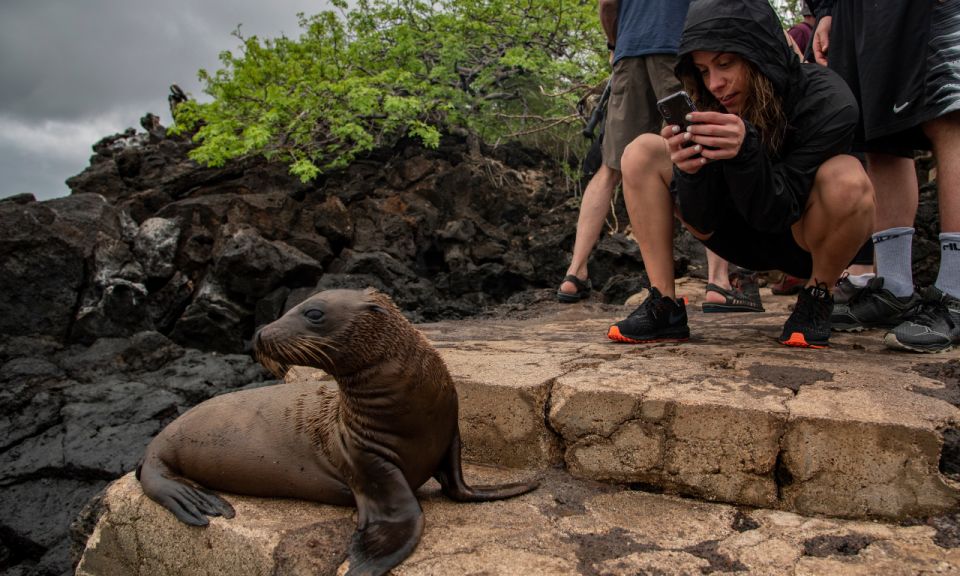 Full Day Leon Dormido and Lobos Island Tour - Important Information