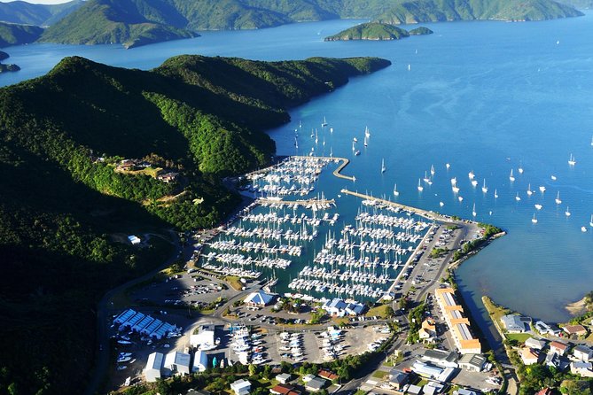 Full-Day Marlborough Scenic and Wine Tour From Blenheim - Pricing and Cancellation Policy