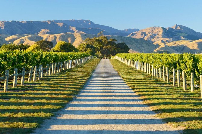 Full-Day Marlborough Wine Tour Including Wine Tasting - Booking Process and Policies