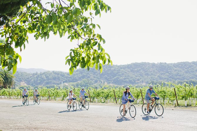 Full-Day Napa Valley E-Bike Tour - Customer Reviews