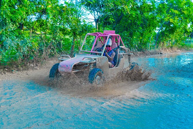 Full-Day Off-Road Dune Buggy, Coffe Tasting, Snorkel &Boat Cruise - Inclusions and Amenities