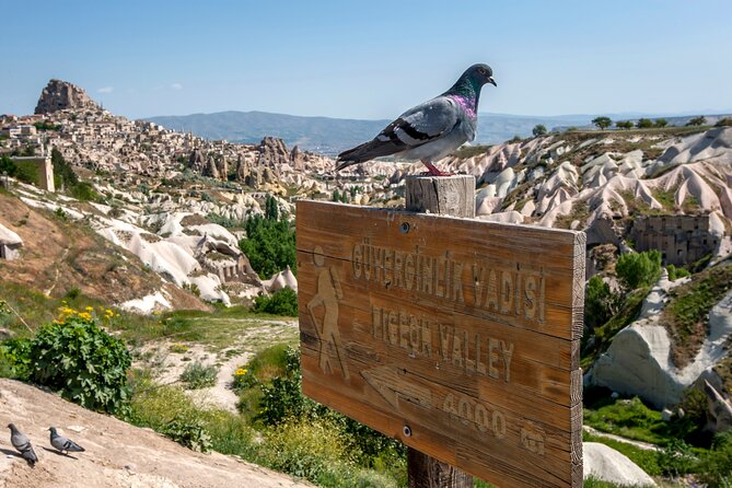 Full Day Private Cappadocia Tour (Guide & Driver) - Accessibility Information