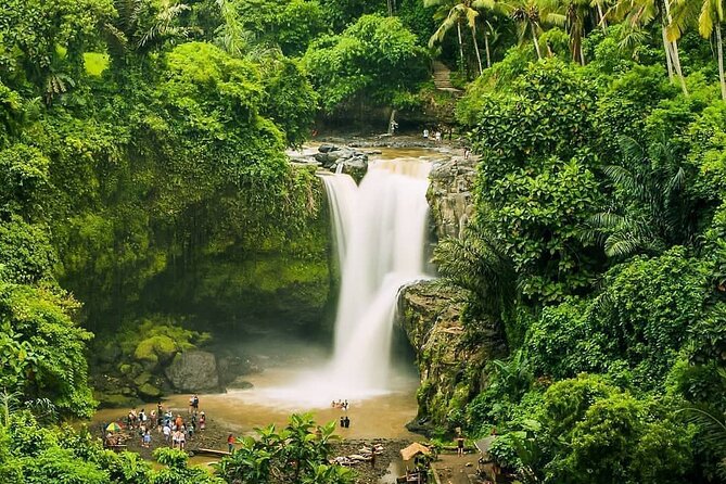 Full Day Private Guided Tour In Bali - Customer Reviews