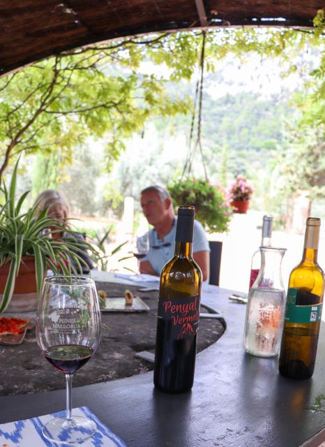 Full-Day Private Wine Tour to 3 Unique Wineries in Mallorca - Guided Tour of Mallorca