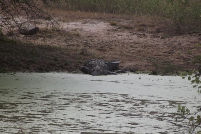 Full Day Safari Tour in Yala National Park - Wildlife and Habitat Exploration