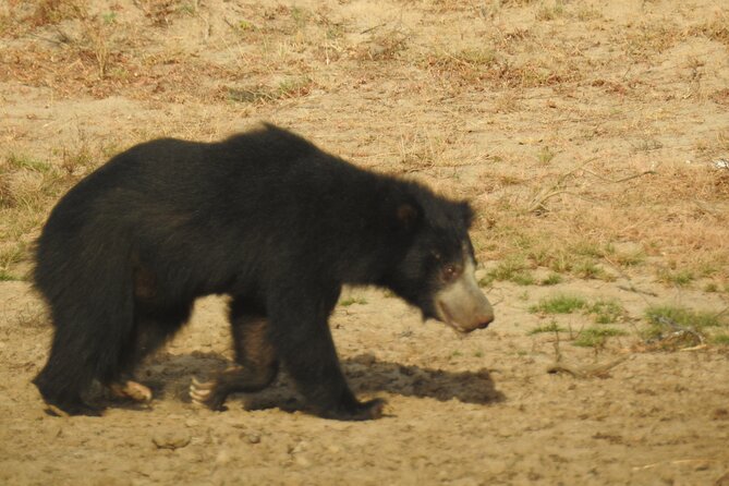 Full Day Safari - Yala National Park - 04.30 Am to 06.00 Pm With - Janaka Safari - Exploring the Parks Terrain