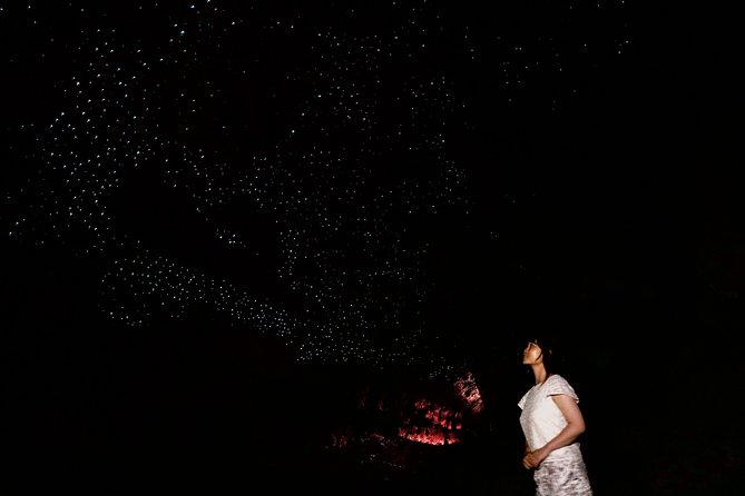 Full-Day Small-Group Glowworm Exploration Tour in New Zealand - Traveler Reviews and Ratings