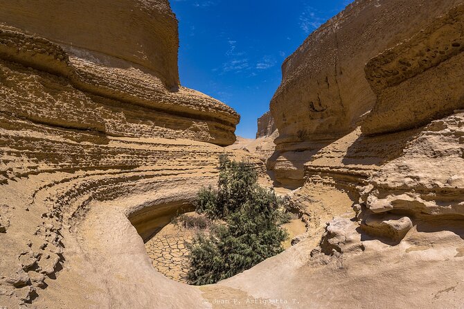 Full Day Tour Canyon of the Lost in Ica Desert - Customer Reviews