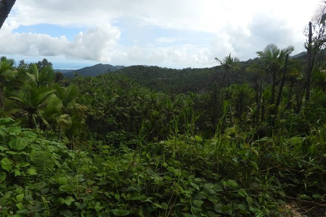 Full-Day Tour: El Yunque, Luquillo Beach, Bio Bay Night Kayaking - Booking Information