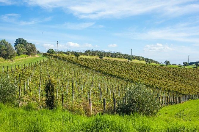 Full-Day Tour of Waiheke Island With Wine Tastings - Additional Tour Information