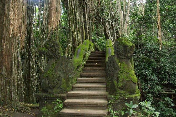 Full-Day Tour Ubud Best Things to Do in Ubud - Tour Requirements
