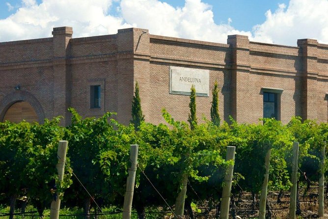 Full Day Uco Valley Wine Experience With Salentein - Additional Tips and Recommendations