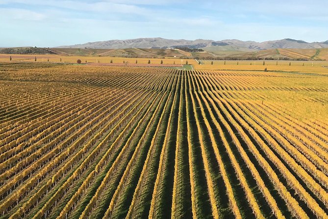 Full-Day Wine Gourmet and Scenic Delight Tour of Marlborough From Blenheim - Tour Logistics
