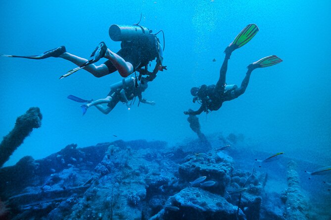 Fun Dives For Certified Divers - Dive Experience Highlights
