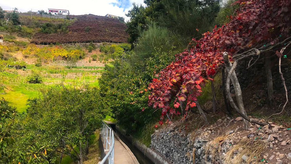 Funchal: Northern Levada Walking Tour - Customer Reviews