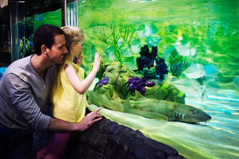 Gardaland SEA LIFE Aquarium: Open Date Entry Ticket - Shuttle Bus Information