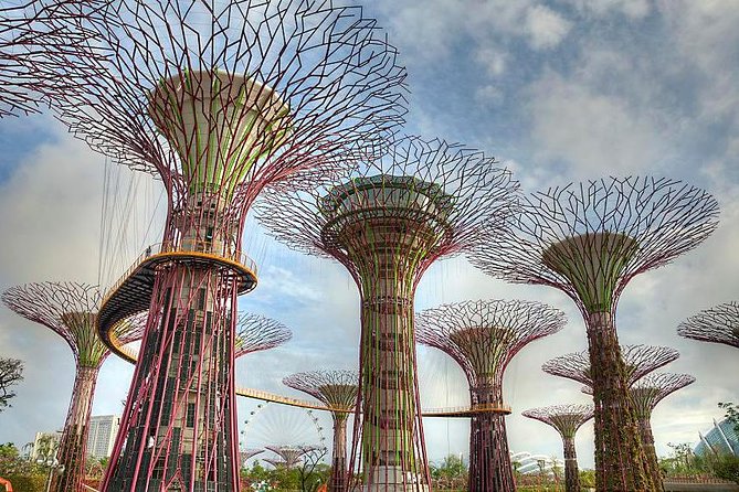 Gardens by the Bay With One Way Transfer (2 Domes) - Waterways and Gardens Representing Singapore