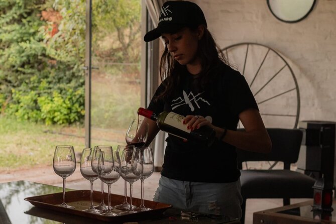 Gastronomic Experience With Barbecue Class in Mendoza. - Guest Reviews and Experiences