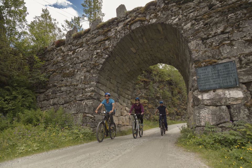 Geiranger Fjord: Downhill Self-Guided Bike Tour - Customer Reviews and Ratings