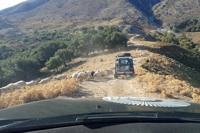 Georgioupolis Safari Off Road Tours Outdoor Activities Land Rover Defender - Visiting an Olive Oil Factory