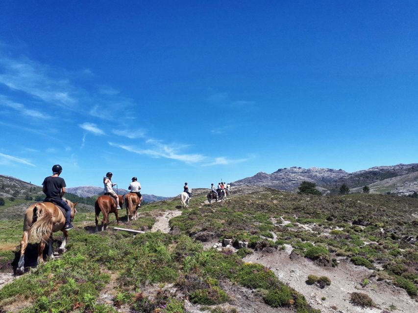 Gerês Braga: Horseback Ride in Peneda Gerês National Park - Getting to the Park