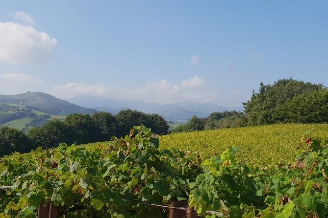 Getaria Txakoli Wine Tour With Hotel Pick-Up From San Sebastian - Cancellation and Booking Policies