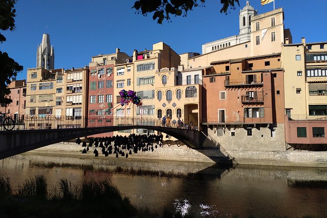 Girona Guided Tour With Cathedral, Arab Baths & St Feliu Basilica - Tour Experience and Feedback