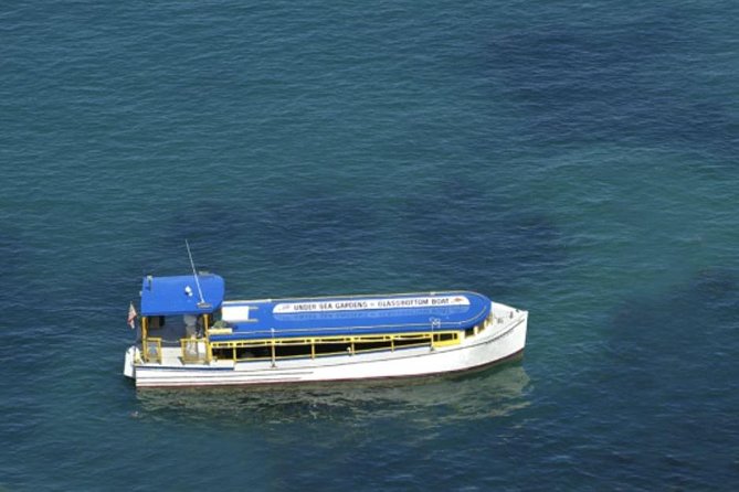 Glass Bottom Boat: Catalina Island Tour - Customer Experiences and Reviews