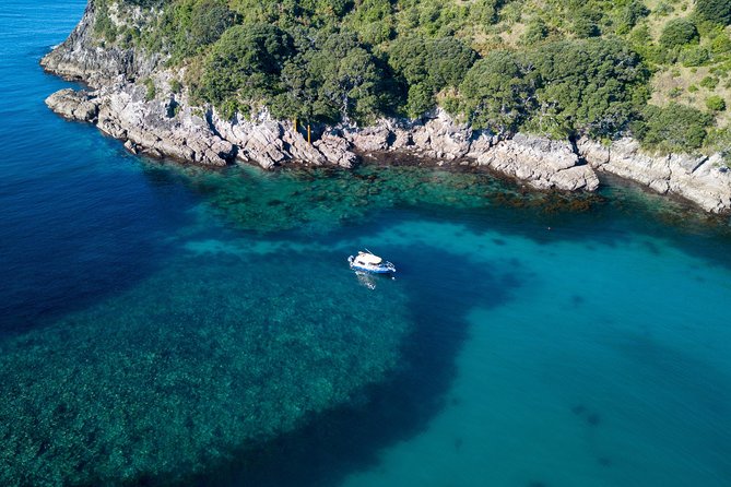 Glass Bottom Boat Whitianga Cathedral Cove Cruise - Traveler Reviews and Experiences