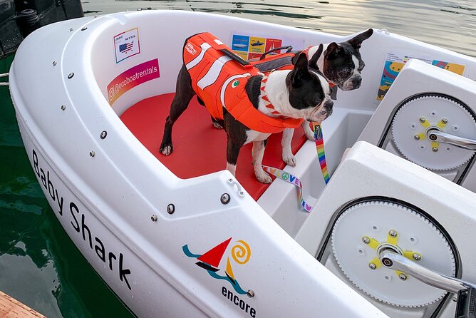 Glow Pedal Boat Rental in San Diego Bay! Night Date Idea! - Safety and Accessibility Information