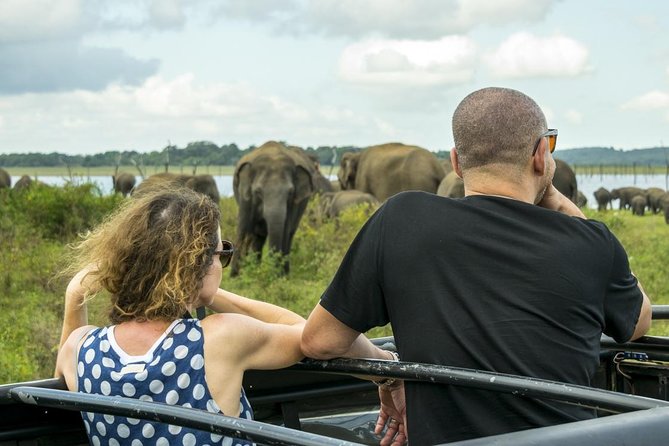 GO WILD! Double Safari Day Trip (Yala & Udawalawe) - Private & All Inclusive - Safari Experience Highlights