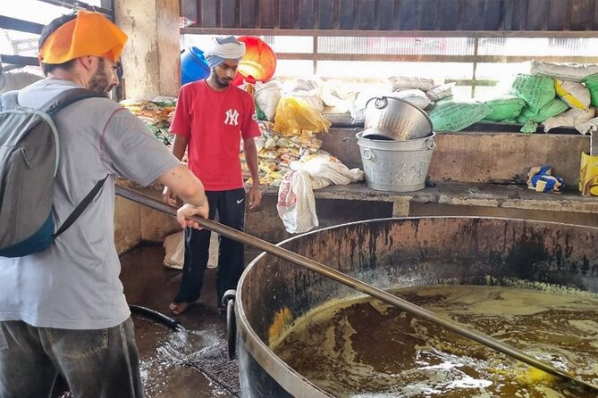 Golden Temple and Jallianwala Bagh Guided Tour - Cancellation Policy