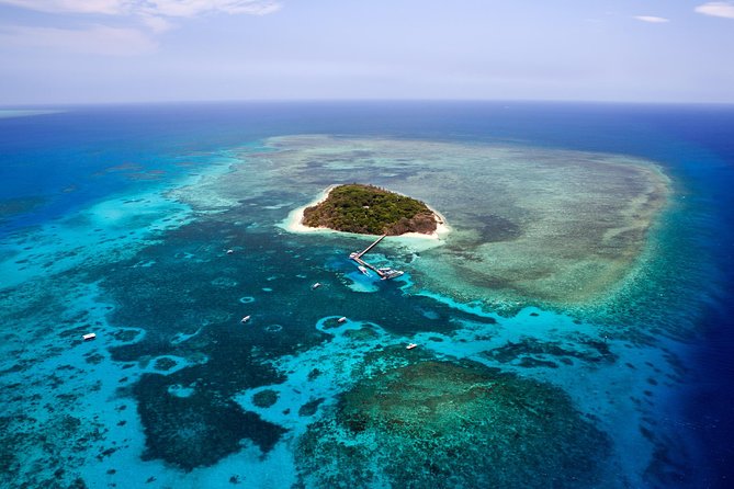 Great Barrier Reef 40 Minute Scenic Flight From Cairns - Reef Hopper - What to Expect Onboard