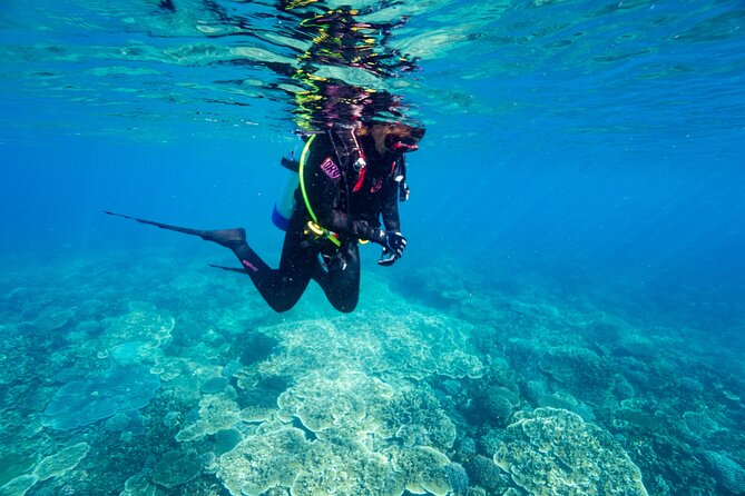 Great Keppel Island Day Trip Bundle From Yeppoon - Recommendations for a Better Experience