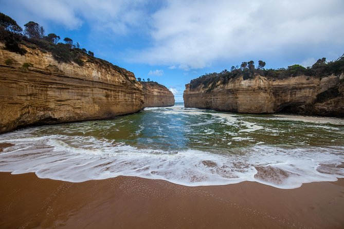 Great Ocean Road and Wildlife Tour for Backpackers Aged 18-35 - Wildlife Spotting Opportunities