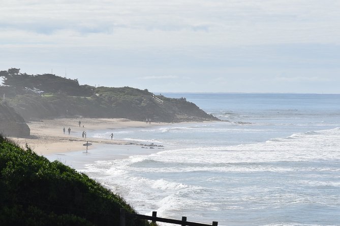 Great Ocean Road Tour Plus Koalas, Forest Walk and Morning Tea - Accessibility Features