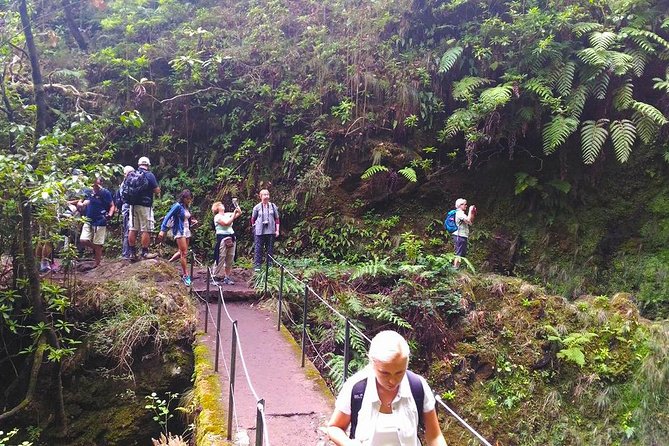 Green Cauldron Levada Walk From Funchal - Cancellation Policy Details