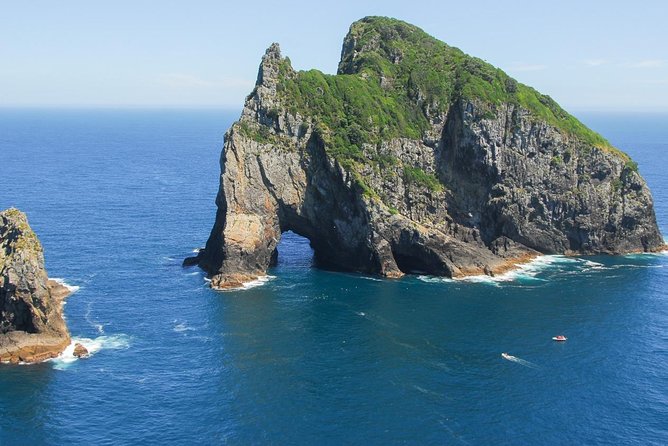 Group Tour to Bay of Islands Return From Auckland - Traveler Requirements