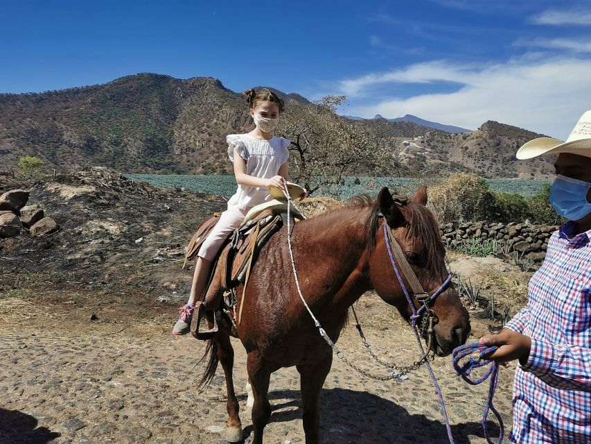 Guadalajara: Horse Riding on the Tequila Route With Tastings - Important Information