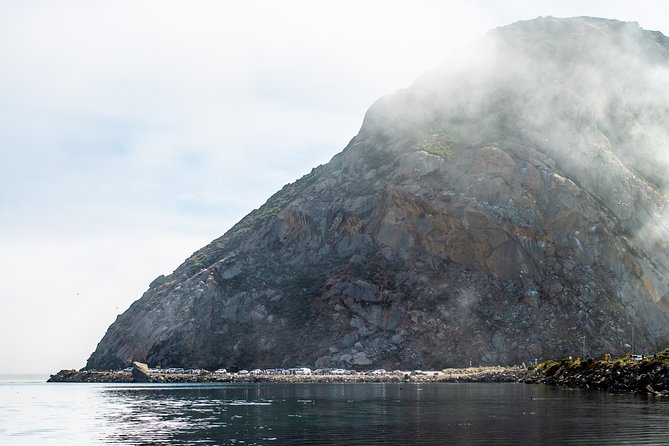 Guided E-Bike Tour of Morro Bay - Customer Experiences