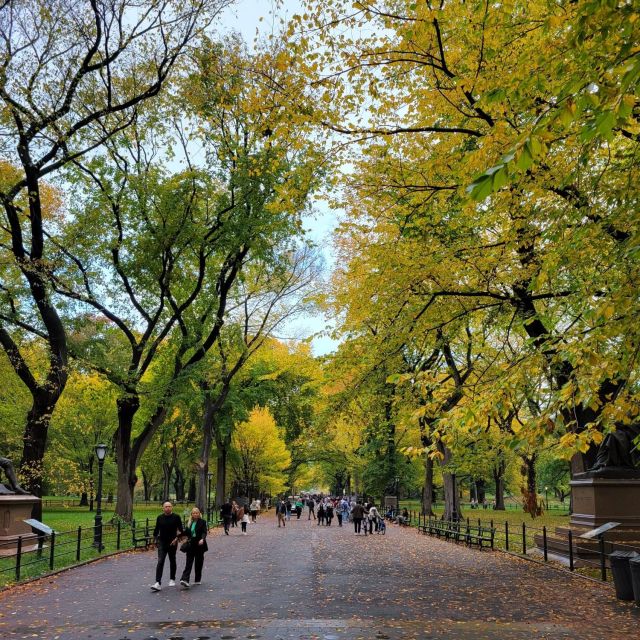 Guided Express Pedicab Tour in Central Park - Optional Stops